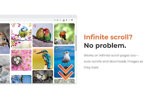 One-click image downloader – Grabit کا تازہ ترین ورژن مفت ڈاؤن لوڈ کریں - Screenshot 5