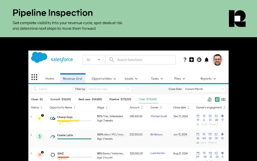 Revenue Grid برائے Salesforce اور Gmail ڈاؤن لوڈ کریں - Screenshot 2