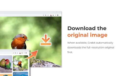 One-click image downloader – Grabit کا تازہ ترین ورژن مفت ڈاؤن لوڈ کریں - Screenshot 3