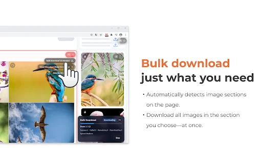 One-click image downloader – Grabit کا تازہ ترین ورژن مفت ڈاؤن لوڈ کریں - Screenshot 4