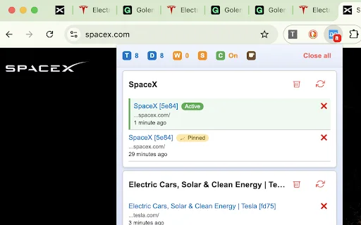 Duplicate Tab Detector ڈاؤن لوڈ کریں – اپنے براؤزر کو صاف ستھرا بنائیں - Screenshot 1