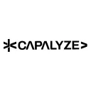 Capalyze ڈاؤن لوڈ کریں – ویب سائٹ سے ایکسل ڈیٹا نکالنے کا بہترین ٹول