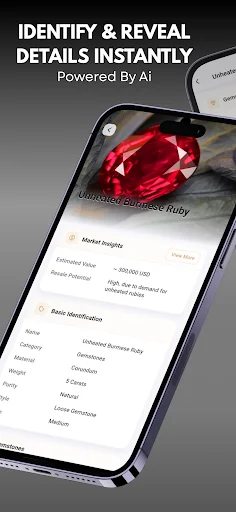Jewelry Identifier ایپ ڈاؤن لوڈ کریں – زیورات اور قیمتی پتھروں کی پہچان - Screenshot 7