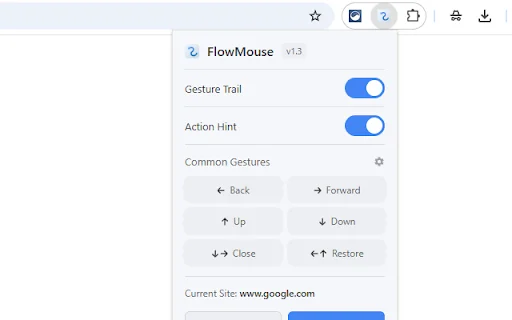 FlowMouse ڈاؤن لوڈ کریں – کروم کے لیے بہترین ماؤس گیسچر ایکسٹینشن - Screenshot 5